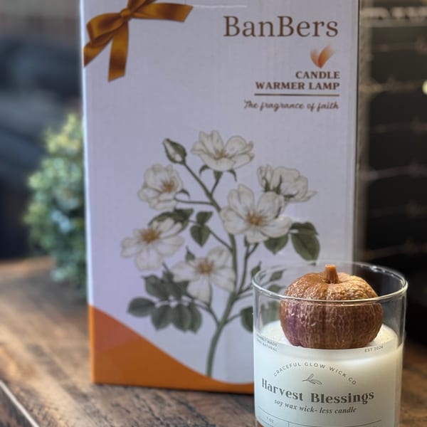 Wickless candle + warmer bundle